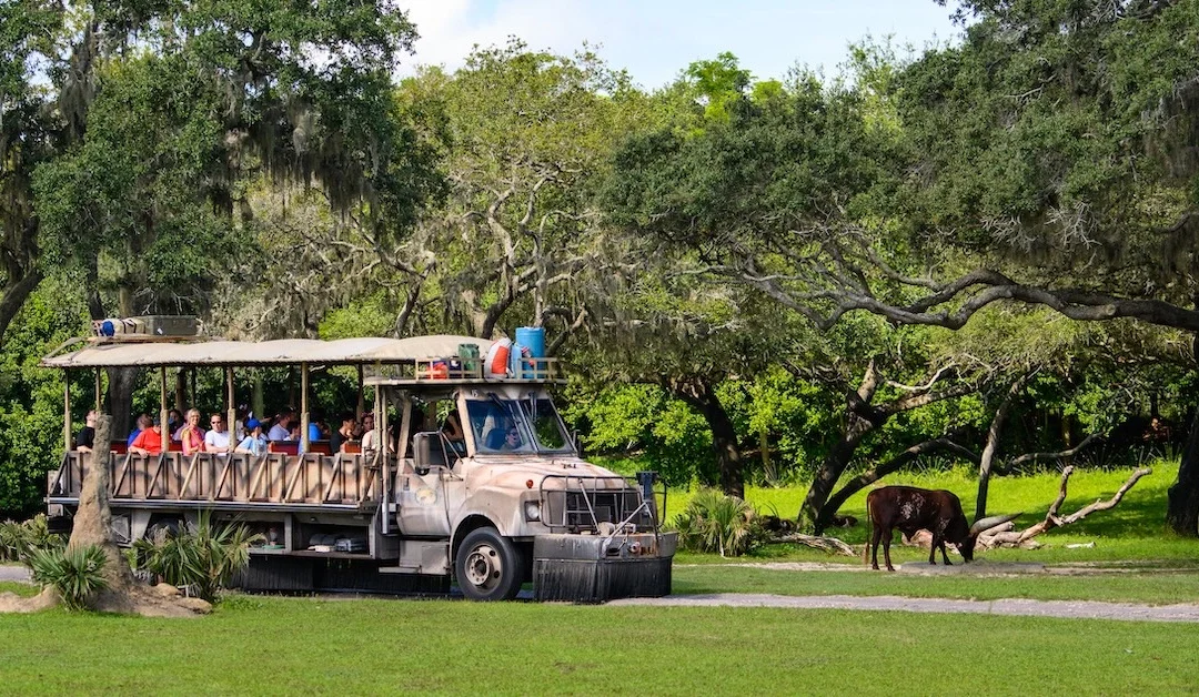 7 Wild Secrets You Didn’t Know About Disney’s Kilimanjaro Safaris