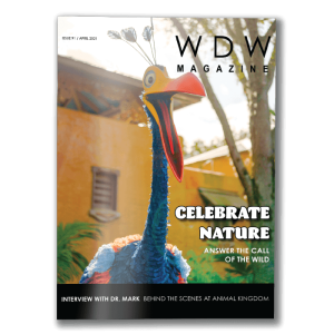 Issue 91 - Celebrate Nature