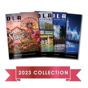 DLR Magazine Bundle (4) Issue Bundle
