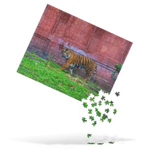 Animal Kingdom Tiger Puzzle