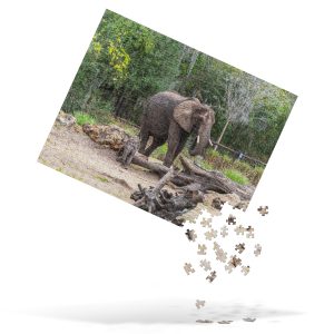 Animal Kingdom Corra/Baby Elephant Puzzle