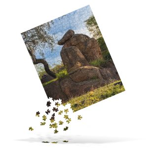 Animal Kingdom Lion Puzzle