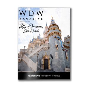 Issue 138 - Big Dreams, Little Details
