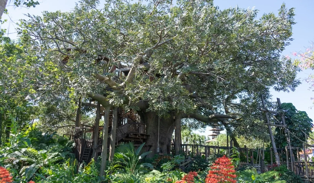 The Best Thing to Do at Magic Kingdom Has No Wait (Most Guests Walk Right Past It)