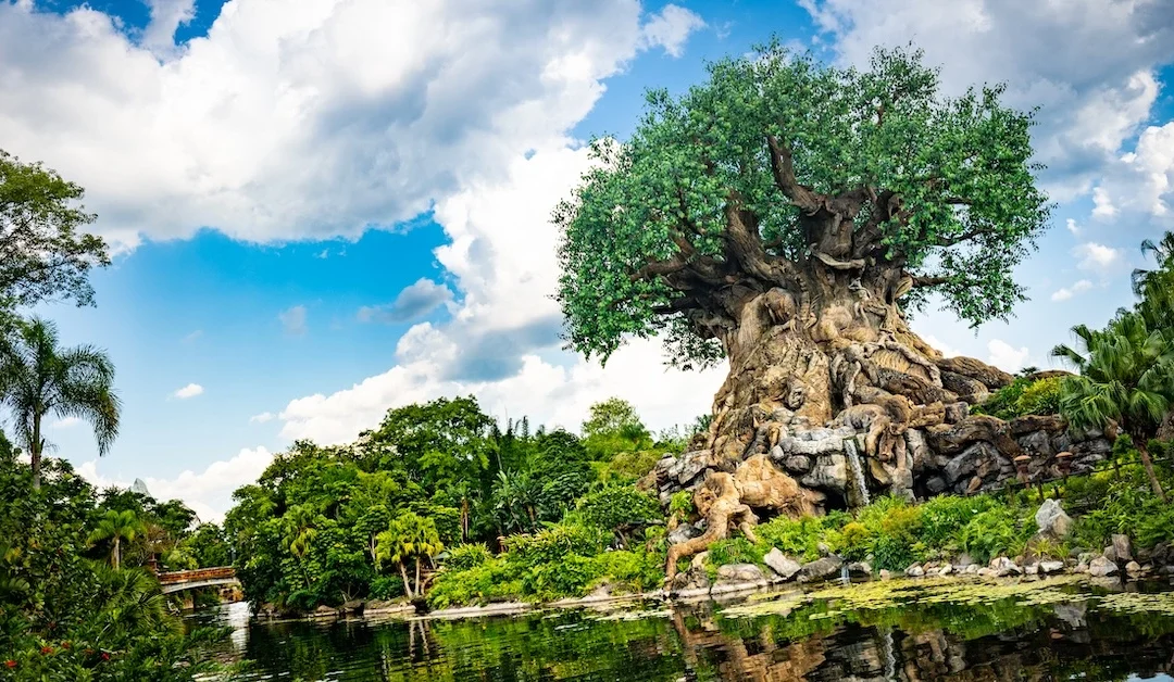 Disney’s Animal Kingdom Breaks All the Rules — and That’s Why I Love It